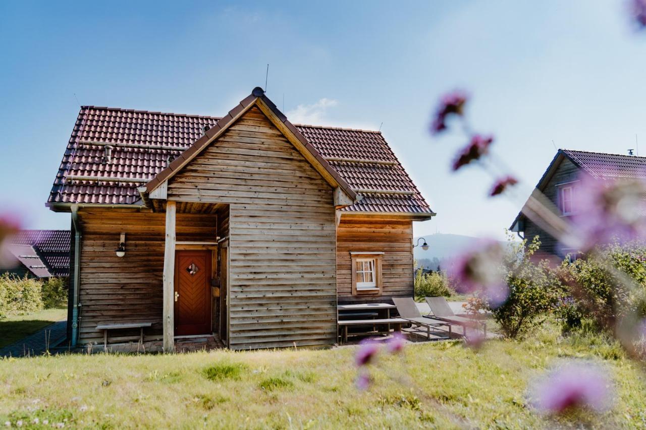 Hotel Harzresort Torfhaus